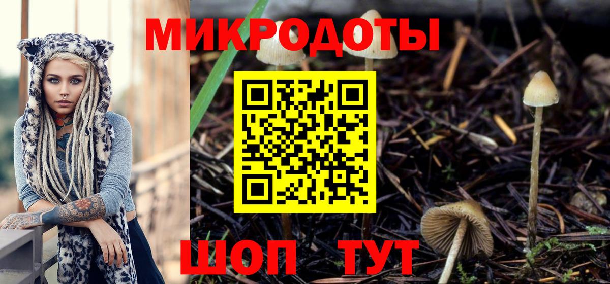 Галлюциногенные грибы мухоморы  Псилоцибиновые грибы прущие грибы  Вход с VPN  Дедовск 